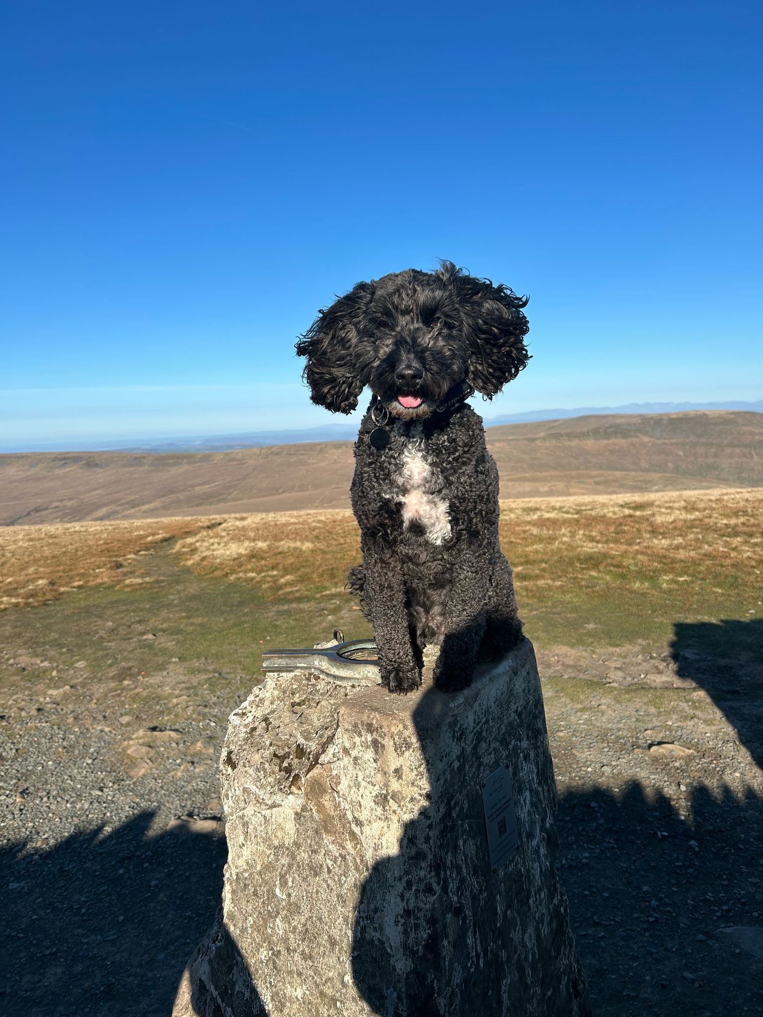 Yorkshire 3 Peaks Challenge