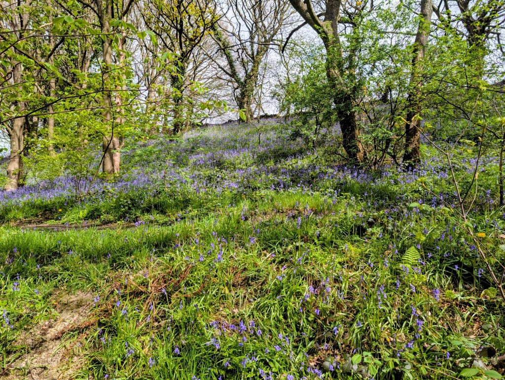 Leeds Country Way 6 &&nbsp;7