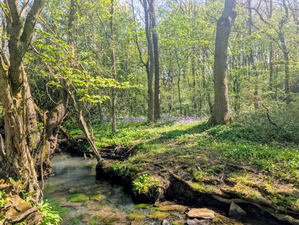 Leeds Country Way Day&nbsp;8