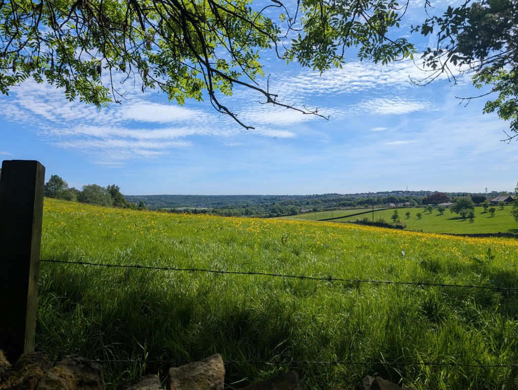 The Calverley Loop (and the numpty of the walk&nbsp;award).