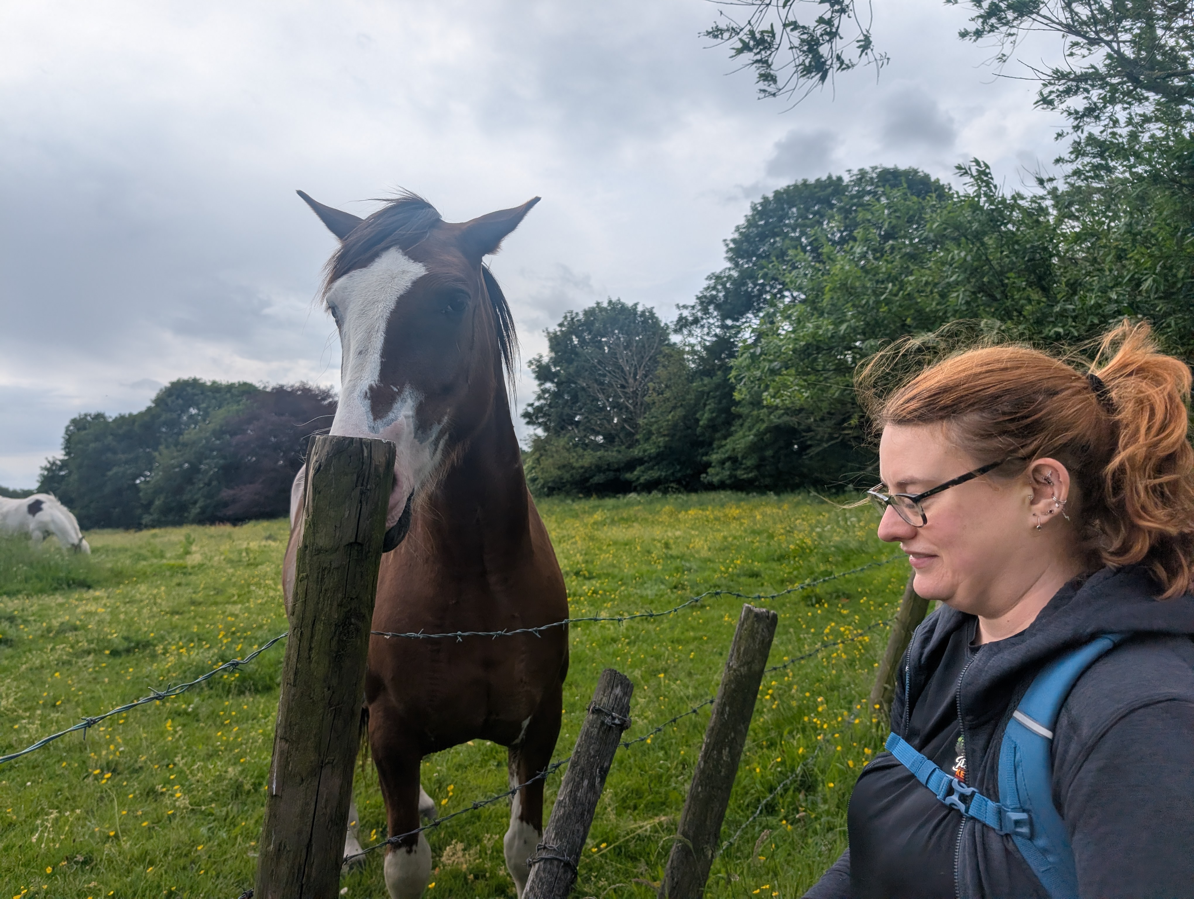 Leeds Country Way Day 9